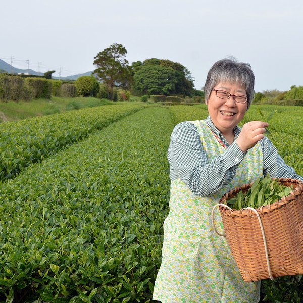 Benifuuki No. 1, Keiko Kagoshima, grüner Tee Bio, 1kg